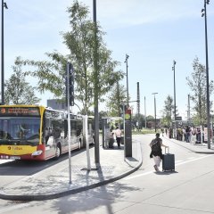 Copyright : Anne Faden Bankverbindung : KSK T&Atilde;&frac14;bingen BLZ 641 500 20  Konto  : 134 983photo@annefaden.de