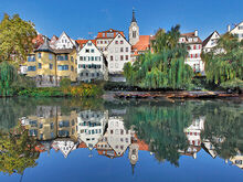 Neckarfront mit Stocherk&auml;hnen