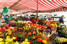 Fr&uuml;hlingsmarkt in T&uuml;bingen