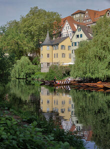 H&ouml;lderlinturm mit Stocherk&auml;hnen