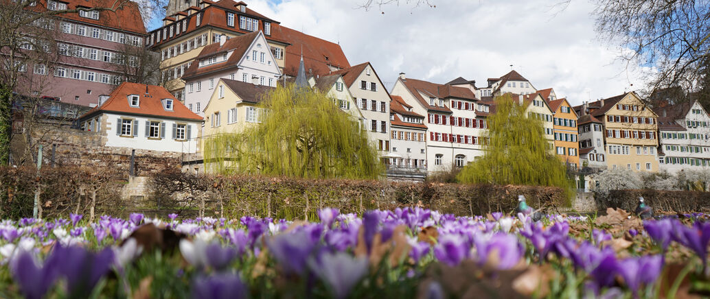fr&uuml;hling