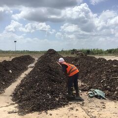 Ein Arbeiter sortiert M&uuml;ll an der Kompostierungsanlage