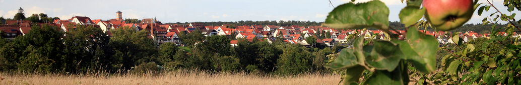 Blick &uuml;ber Pfrondorf