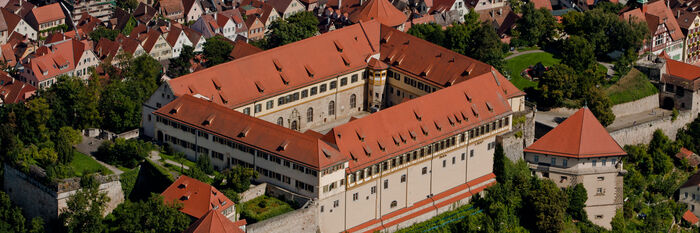 Das Schloss Hohent&uuml;bingen