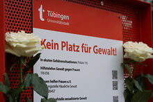 Erkl&auml;rung der Roten Bank