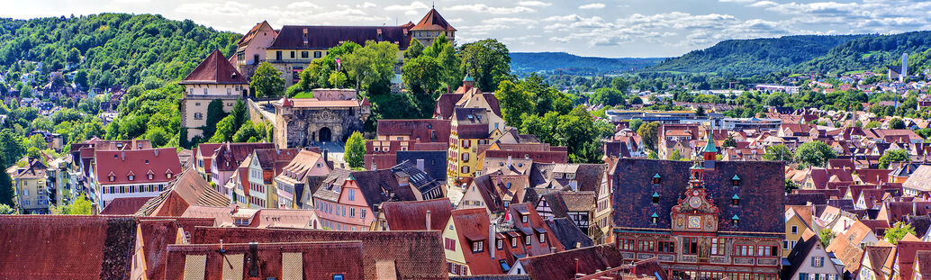 T&uuml;bingen von oben, Blick aufs Schloss und aufs Rathaus